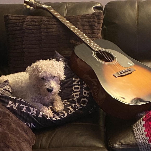 Meet your Posher, Cassie - Picture 10 of 16